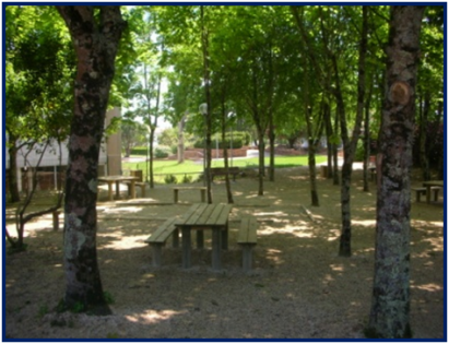 Parc arboré Le Grand Feu