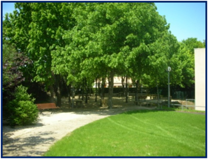 Détente sur la pelouse et aménagements arborés